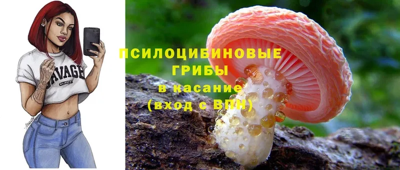 Галлюциногенные грибы Magic Shrooms  Пятигорск 